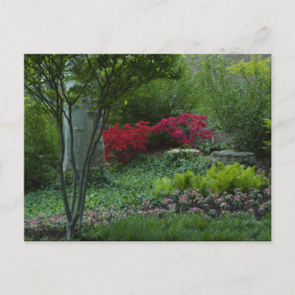 Carte Postale Zoo Saint-Louis 2009