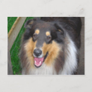 Carte Postale zorro