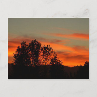 Carte Postale Zulu Dawn