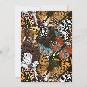Carte Poster de animal. Ailes papillons.