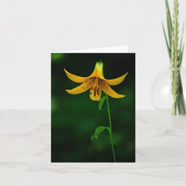 Carte Pot Star (Devant)