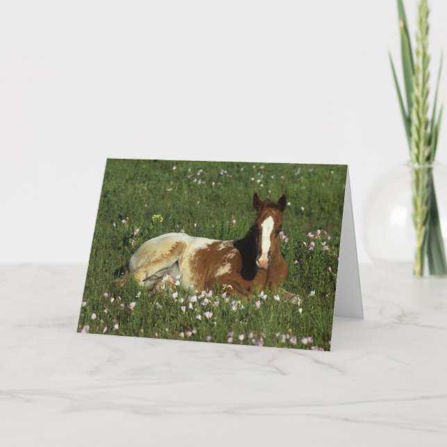 Carte Poulain d'Appaloosa fixant en fleurs (Devant)