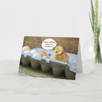 poule et oeufs en boîte pour l'anniversaire de pap