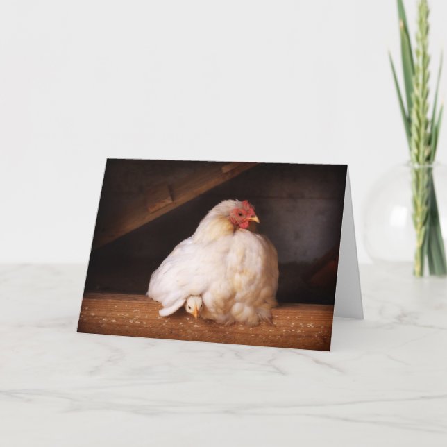 Carte poule& poussin (Devant)