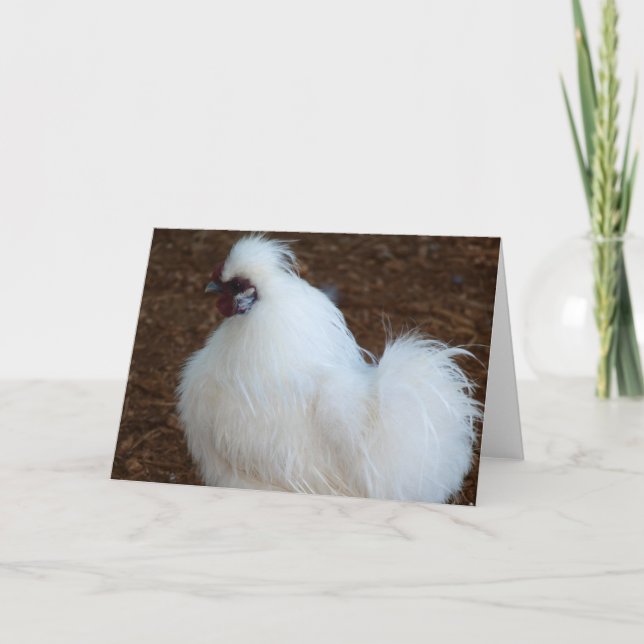 Carte Poulet blanc de Silkie (Devant)