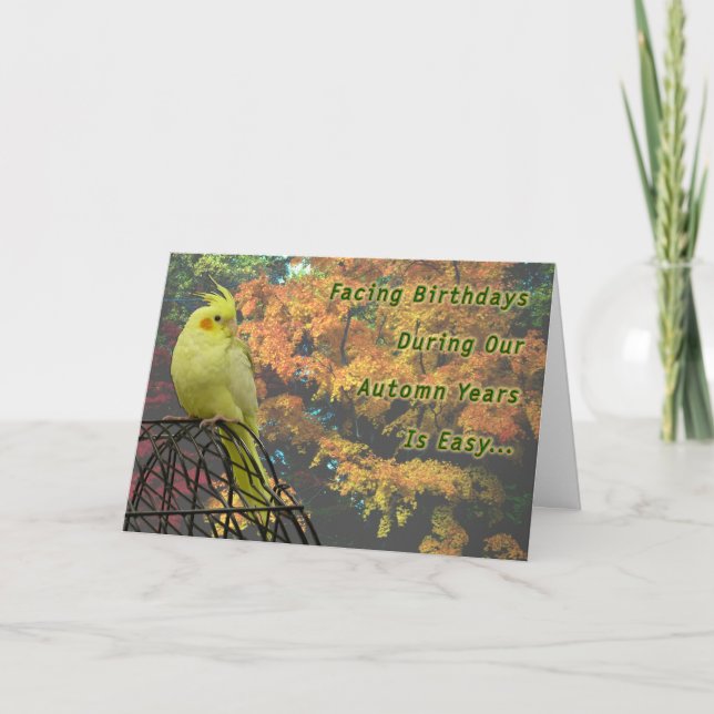 Carte Poulets de printemps (Devant)