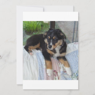 Carte poupée de tri noir aussie