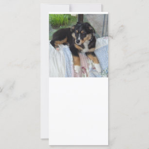 Carte poupée de tri noir aussie