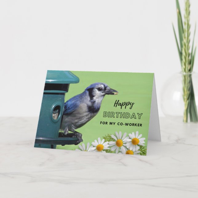 Carte Pour Co Worker Birday avec Blue Jay à Feeder (Devant)