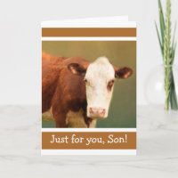 Pour Fils Drôle Vache Heureux Anniversaire