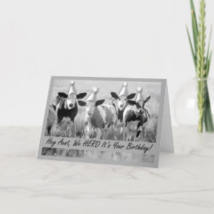 Carte Pour la tante Anniversaire Vaches amusantes en Cas