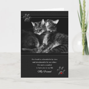 Carte pour l'Amoureux des chats d'anniversaire de l'ami