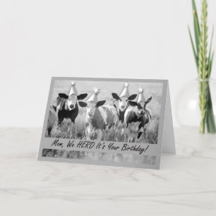 Carte Pour Maman Amusante Vaches d'anniversaire en Casqu