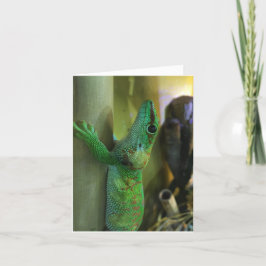 carte pour notes #2 (encouragement) de gecko