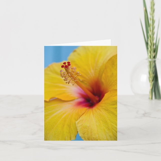Carte pour notes à fleurs d'Hybiscus jaune (Devant)
