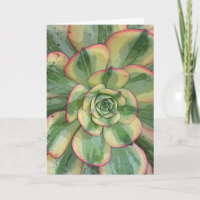 Carte pour notes Aeonium 'Sunburst' (Devant)