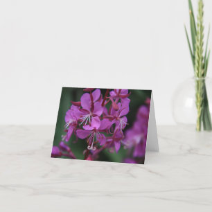 Carte pour notes alpin de Fireweed