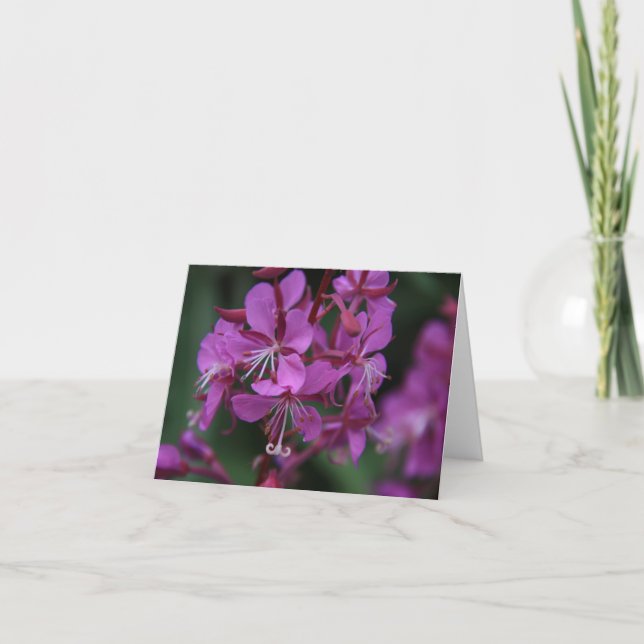 Carte pour notes alpin de Fireweed (Devant)