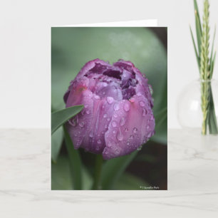 Carte pour notes avec la tulipe pourpre