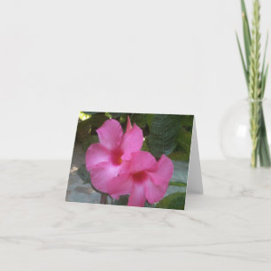 Carte pour notes avec les fleurs roses