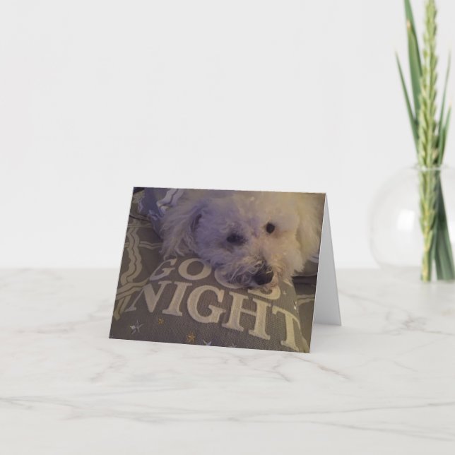 carte pour notes "Chien fatigué" (Devant)