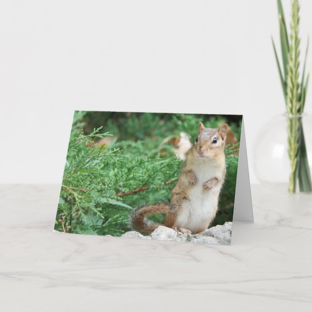 Carte pour notes Chipmunk (Devant)