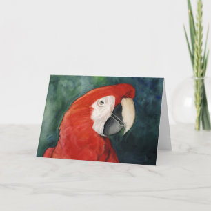 carte pour notes d'art original "Scarlet Macaw"