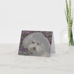 Carte pour notes de Bichon Frise