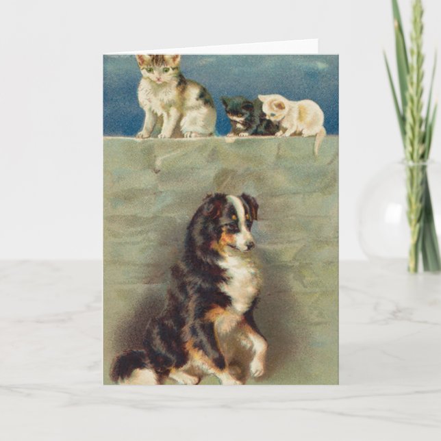 Carte pour notes de border collie (Devant)