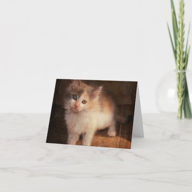 Carte pour notes de chaton de calicot (Devant)