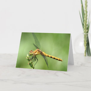Carte pour notes de faucon de prairie