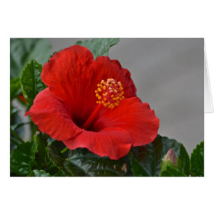 Carte pour notes de fleurs