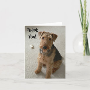 Carte pour notes de Merci de Madeleine