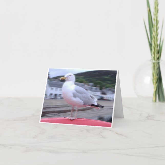 Carte pour notes de mouette (Devant)