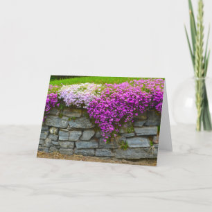 Carte pour notes de mur de pierre de Phlox
