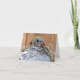 Carte pour notes de pigeon voyageur de bébé