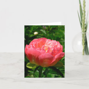CARTE POUR NOTES "DE PIVOINE ROSE DE ROUGISSEMENT"