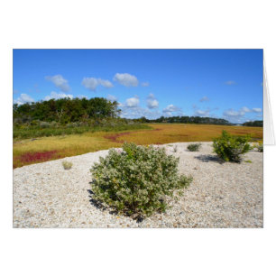 Carte pour notes de plage et de marais