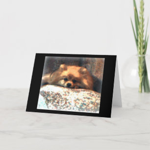 Carte pour notes de Pomeranian