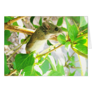 Carte pour notes de souris