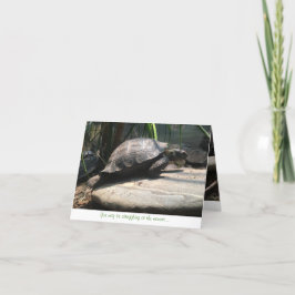 carte pour notes de tortue de bébé (encouragement)