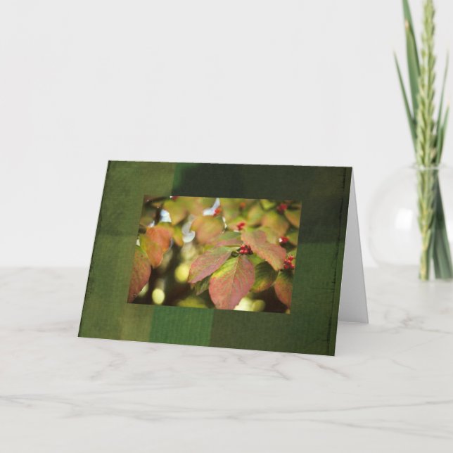Carte pour notes des baies d'automne (Devant)