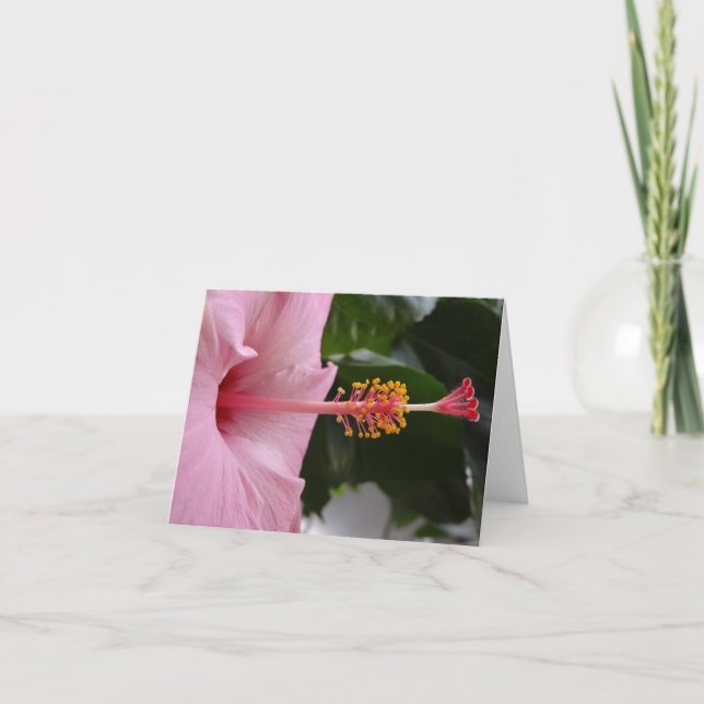 Carte pour notes d'Hibiscus rose (Devant)