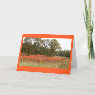 Carte pour notes en blanc des sumacs II d'automne