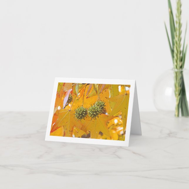 carte pour notes "FEUILLES" (PHTOG) (Devant)