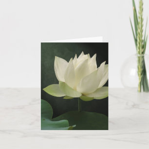 Carte pour notes floral de fleur de Lotus blanc