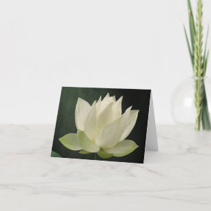 Carte pour notes floral de fleur de Lotus blanc