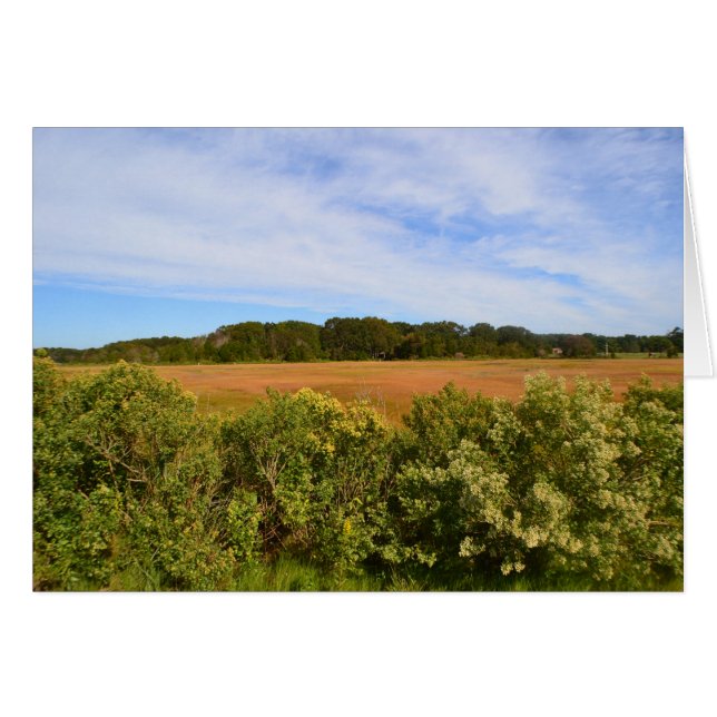 Carte pour notes Hammonasset (Devant Horizontal)
