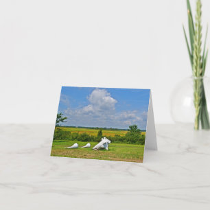 Carte pour notes Hammonasset