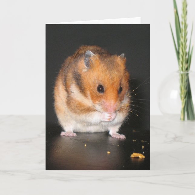 Carte pour notes Hamster (Devant)
